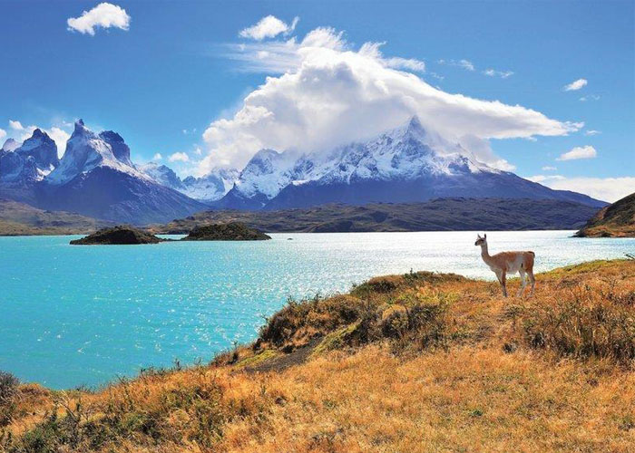 Khám phá tour du lịch Chile - Đất nước hình quả ớt có gì?