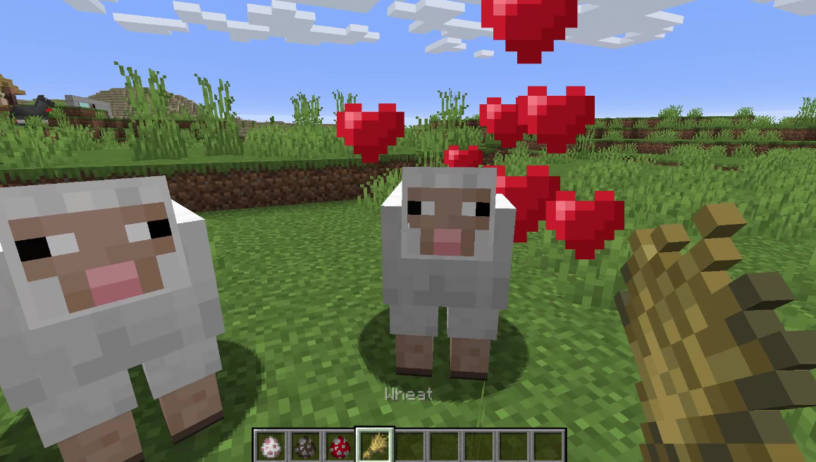 how to breed sheep in minecraft