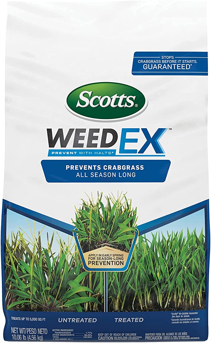 Prepare Your Lawn for Spring - A Helpful 8-Step Guide 2
