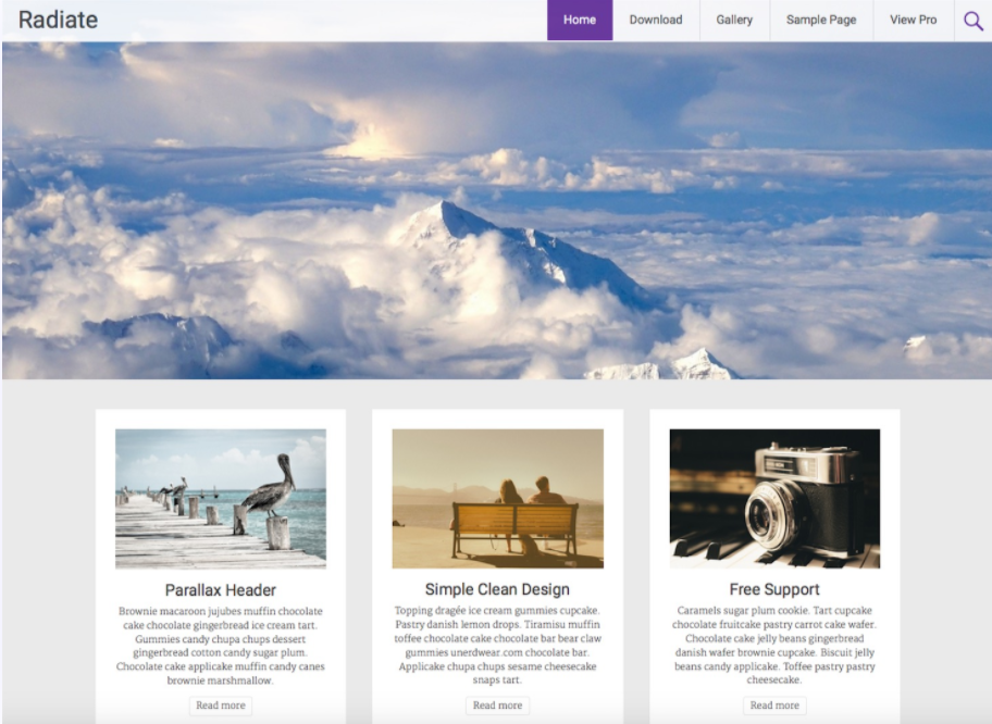 WordPress Theme Design Patterns