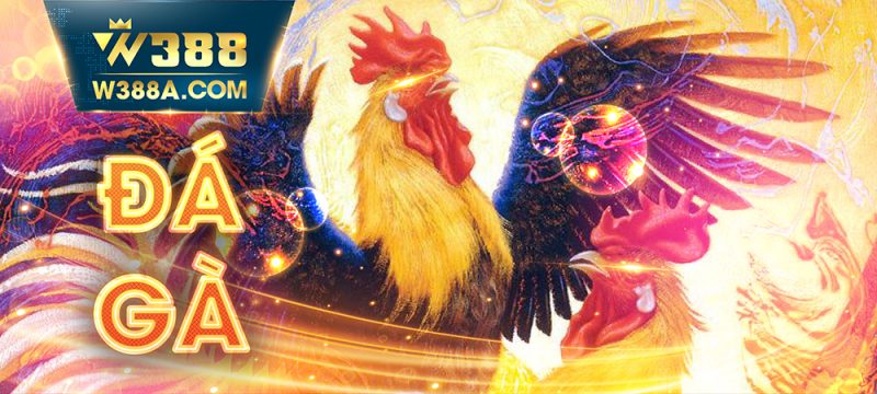 w388,w388bet,w388 casino,W388.WIN,W388 Bet,W388 nhà cái,nhà cái W388,nhà cái W388BET,Casino599,Casino799,Dịch vụ của w388,TẢI APP W388,hướng dẫn tải app W388,W388 APP,app W388,Casino W388,Baccarat,Xóc Đĩa,Cá Cược Bóng Đá,cược bóng,cược bóng w388,kê thủ,SV388,TRC,bắn cá w388,Game bắn cá w388,Slot,Nỗ hũ,Bắn Cá,Đá Gà,Tải W388,Đăng ký W388,Đăng ký tài khoản W388,đăng ký tài khoản w388bet,Đăng nhập W388,Đăng nhập W388BET,tạo tài khoản W388,tài khoản W388,w388 lừa đảo,ư388,ư388bet,chơi slot w388,chơi nỗ hũ w388,chơi nỗ hũ ở w388,w388.con