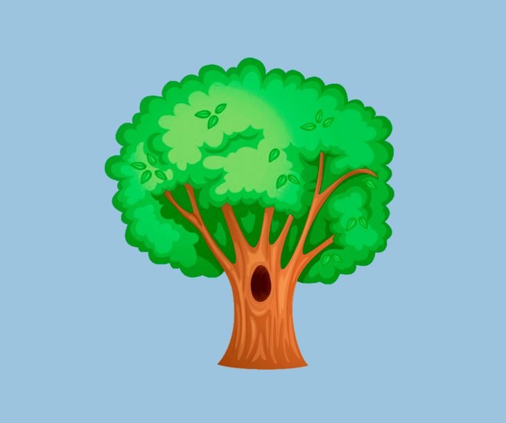 árvore oca