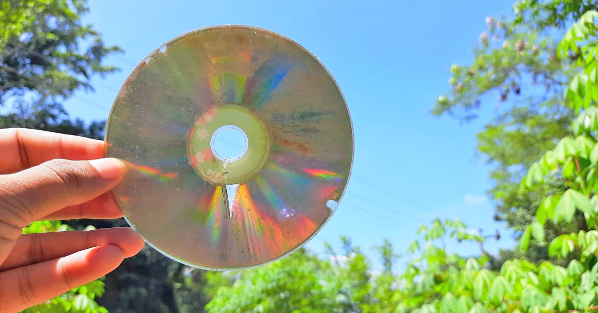 CD's can help you ward off predators