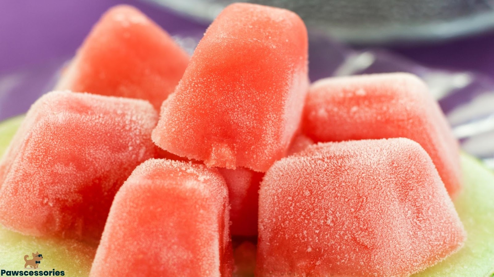 The Frozen Yogurt Watermelon Dog Treat (Pupsicles)