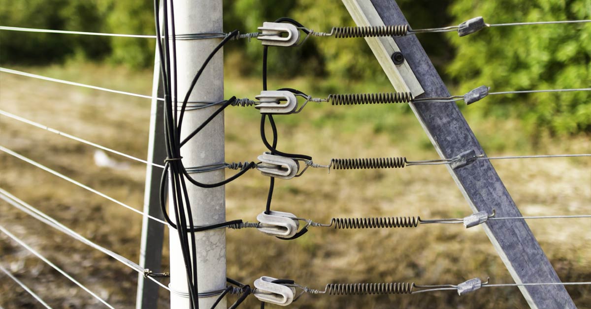 electric fences are commonly used for chicken farms with large enclosures