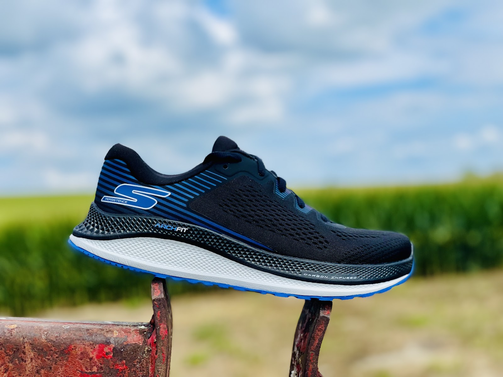 Road Run: Skechers GO Run Persistence Multi Tester Review & New Craft Beer/Shoe Pairing! Comparisons
