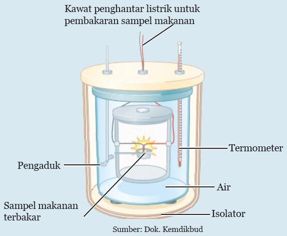 kalorimeter - sistem pencernaan manusia