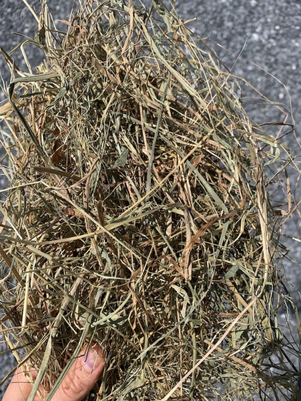 Straw and Hay