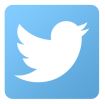 The blue Twitter logo