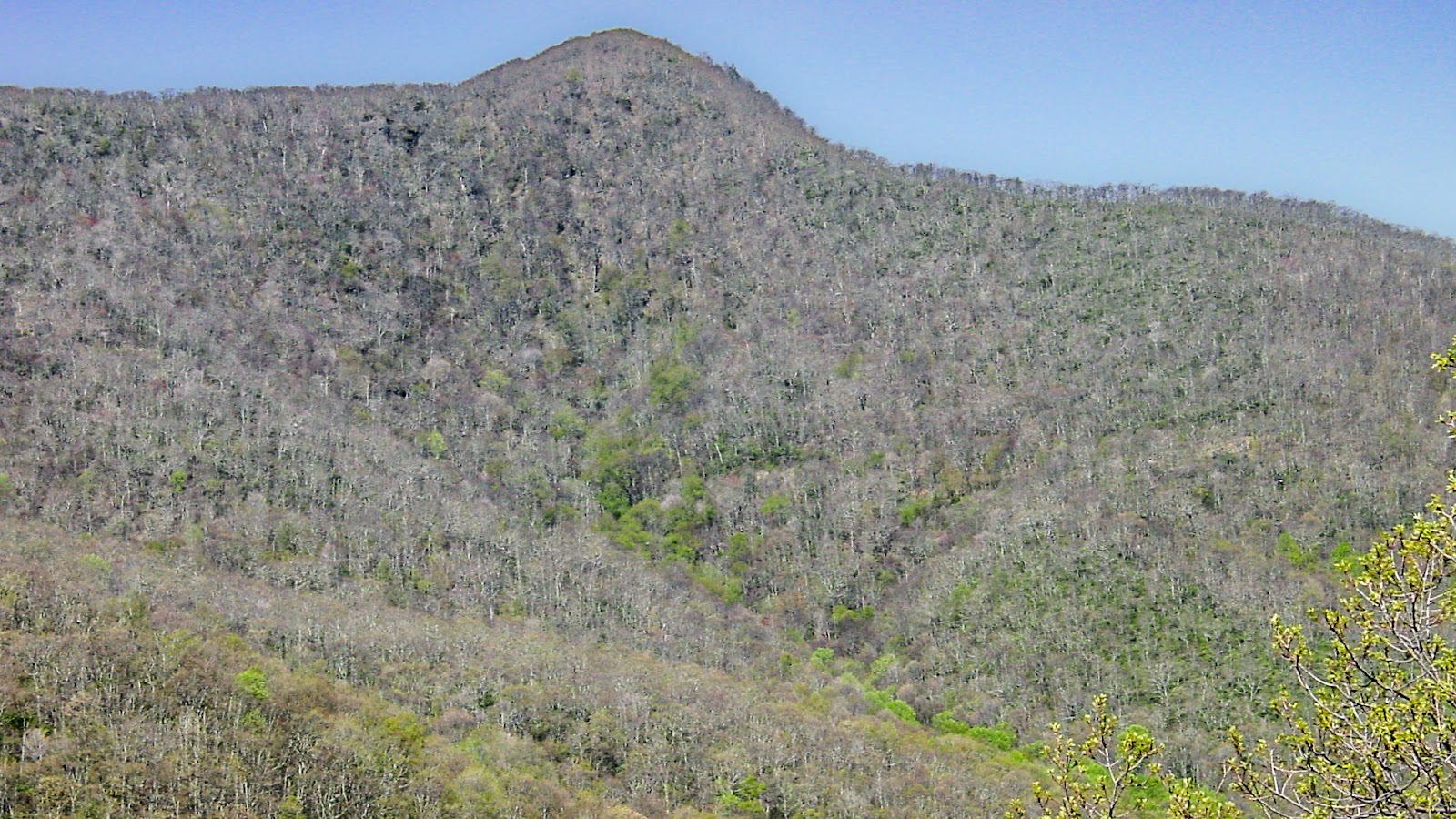 A single peak with barren trees