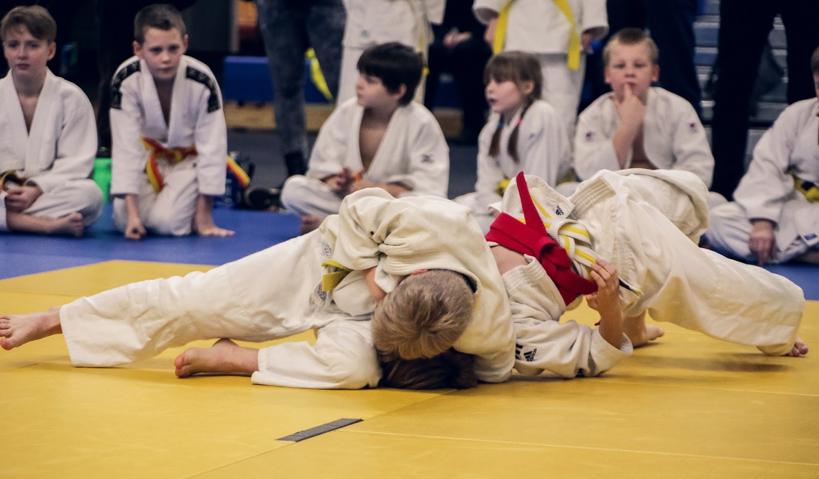 What Is The Difference Between Judo And BJJ?