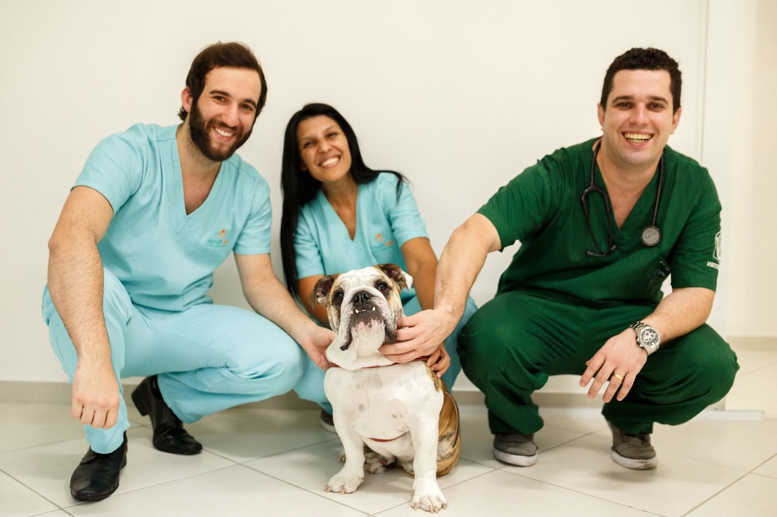 Equipe de clínica veterinária sorri após automatizar envio de mensagem automática no whatsapp 