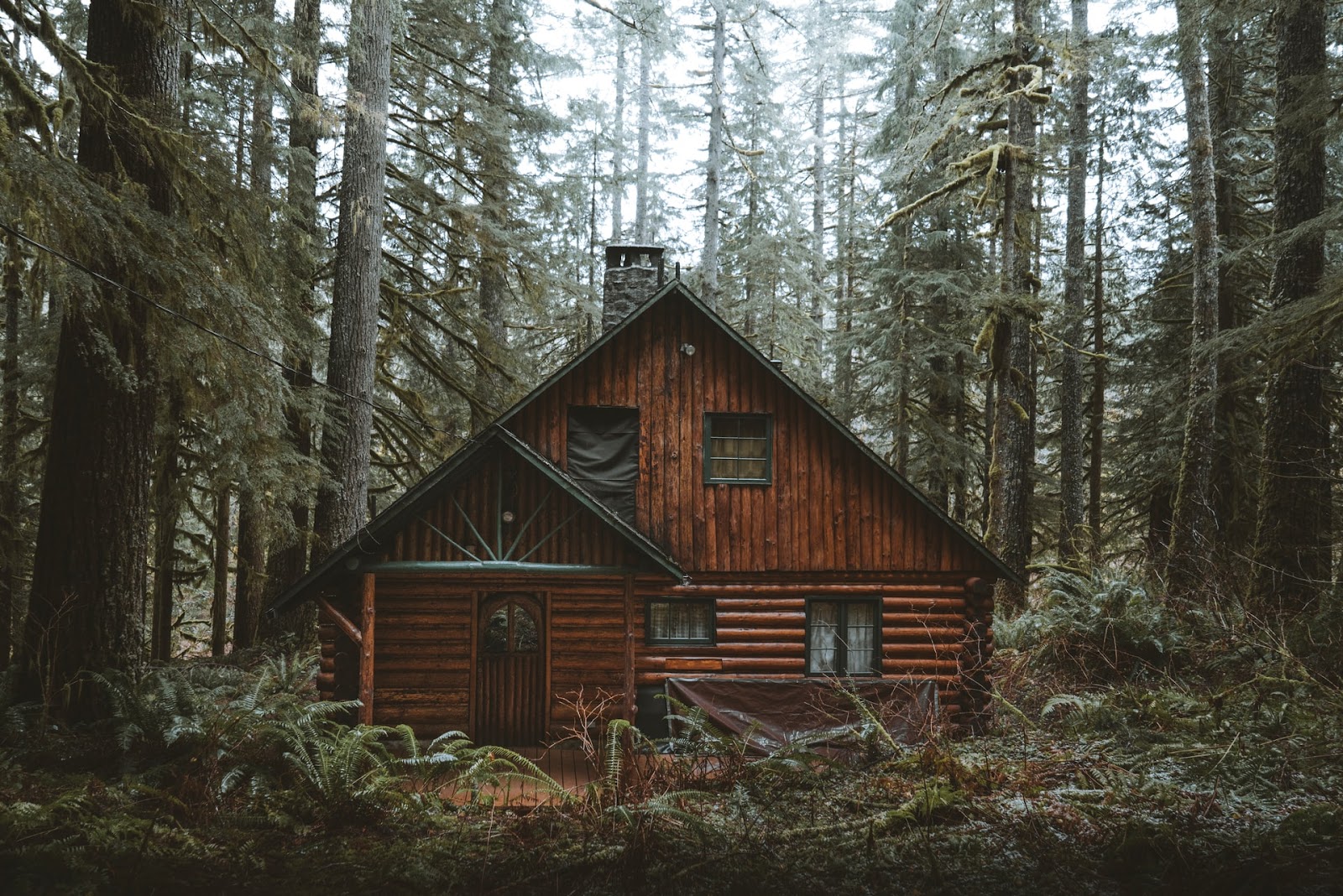 cabin living