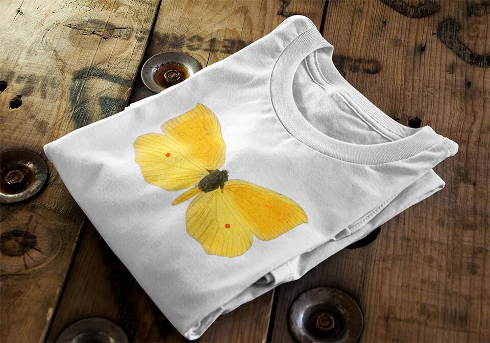 butterfly illustration printed t shirt design
