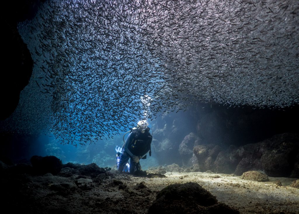 Caribbean Diving