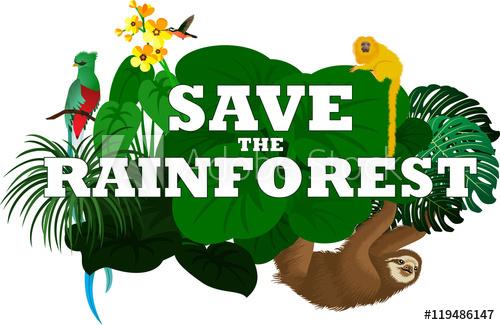 vector illustration with jungle rainforest animals - sloth ...