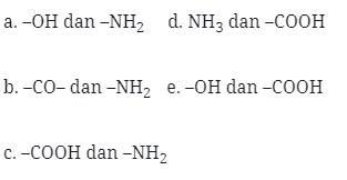 Soal Protein no 11