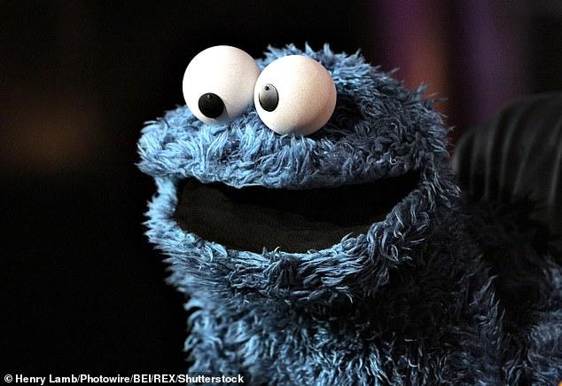 Mr Bowers said the rock is the best example of the Cookie Monster Agate he has ever seen. It is named due to its resemblance to the Sesame Street character