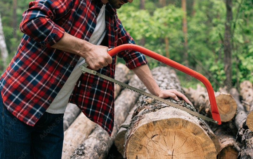 heavy-duty tasks like cutting logs and thick branches
