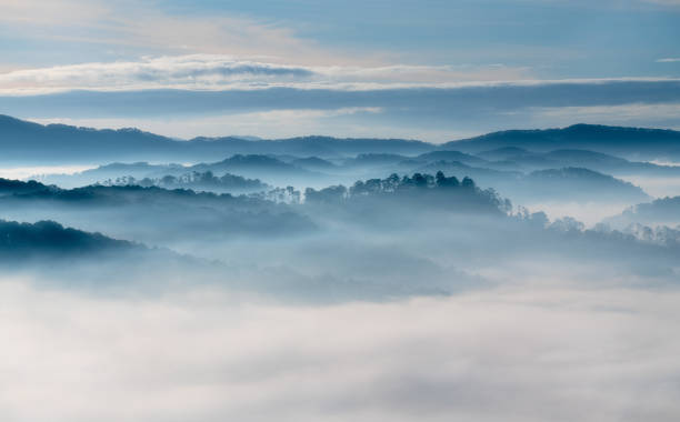 anh hoa da lat