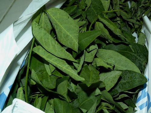 SELAMAT DATANG KE BLOG CIKGUIBU: ULAM-ULAMAN YANG TERDAPAT 