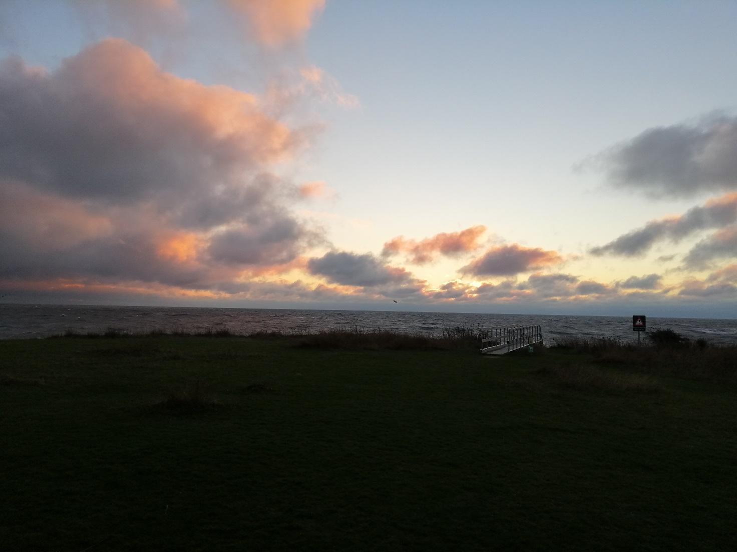 A field with a body of water in the background

Description automatically generated with low confidence