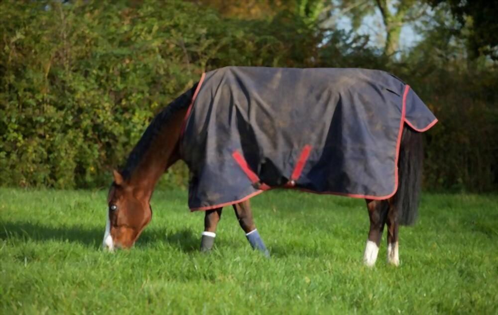 winter horse rugs australia