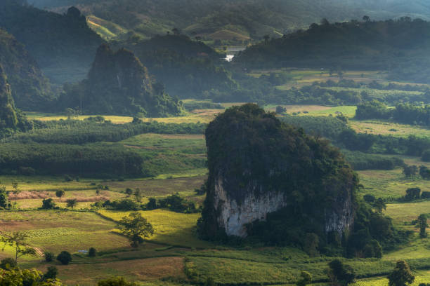 Mountains of Thailand: a walk in the clouds