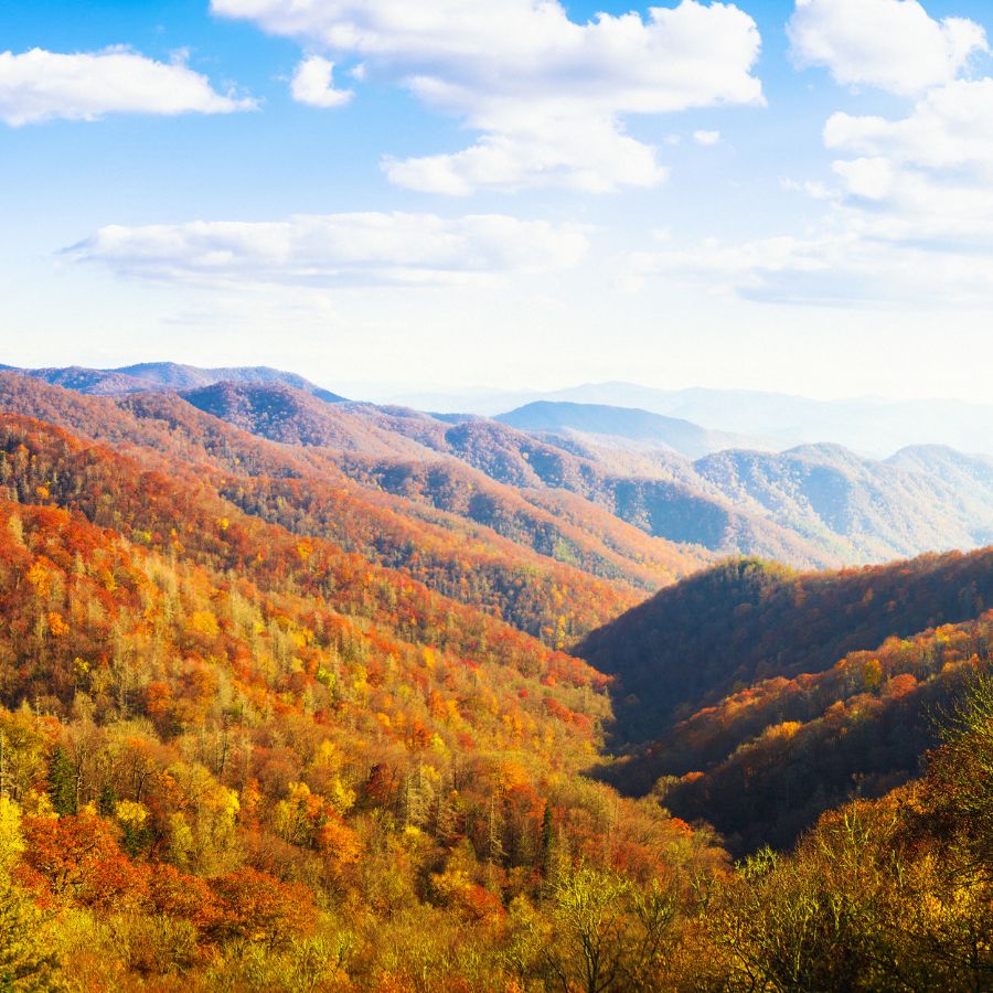 fall colors in mountains