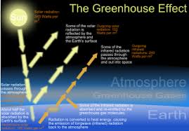 Image result for Greenhouse effects]