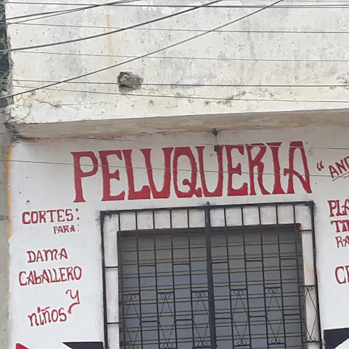 PELUQUERIA ANGELITA