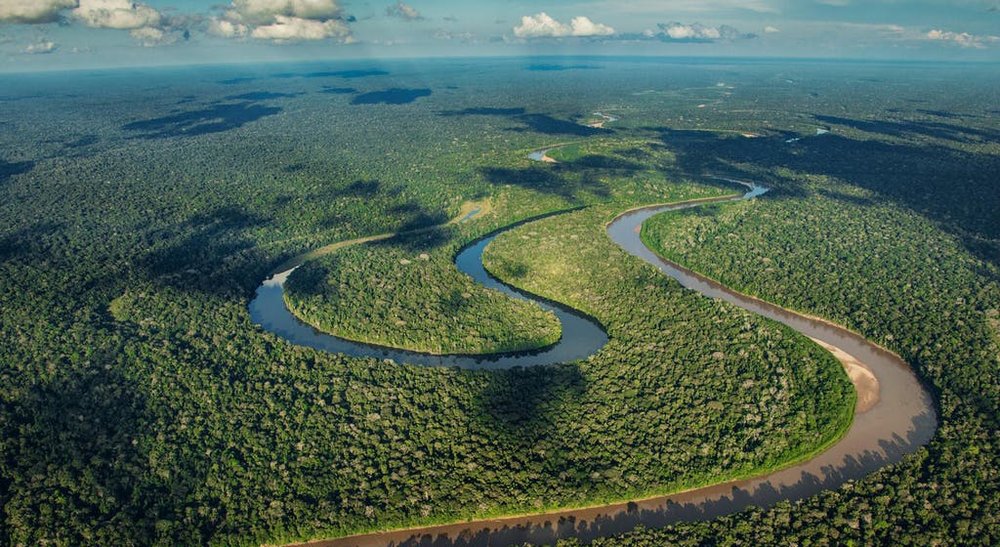 Cochas – Lakes of the Amazon Rainforest — Tambo Blanquillo