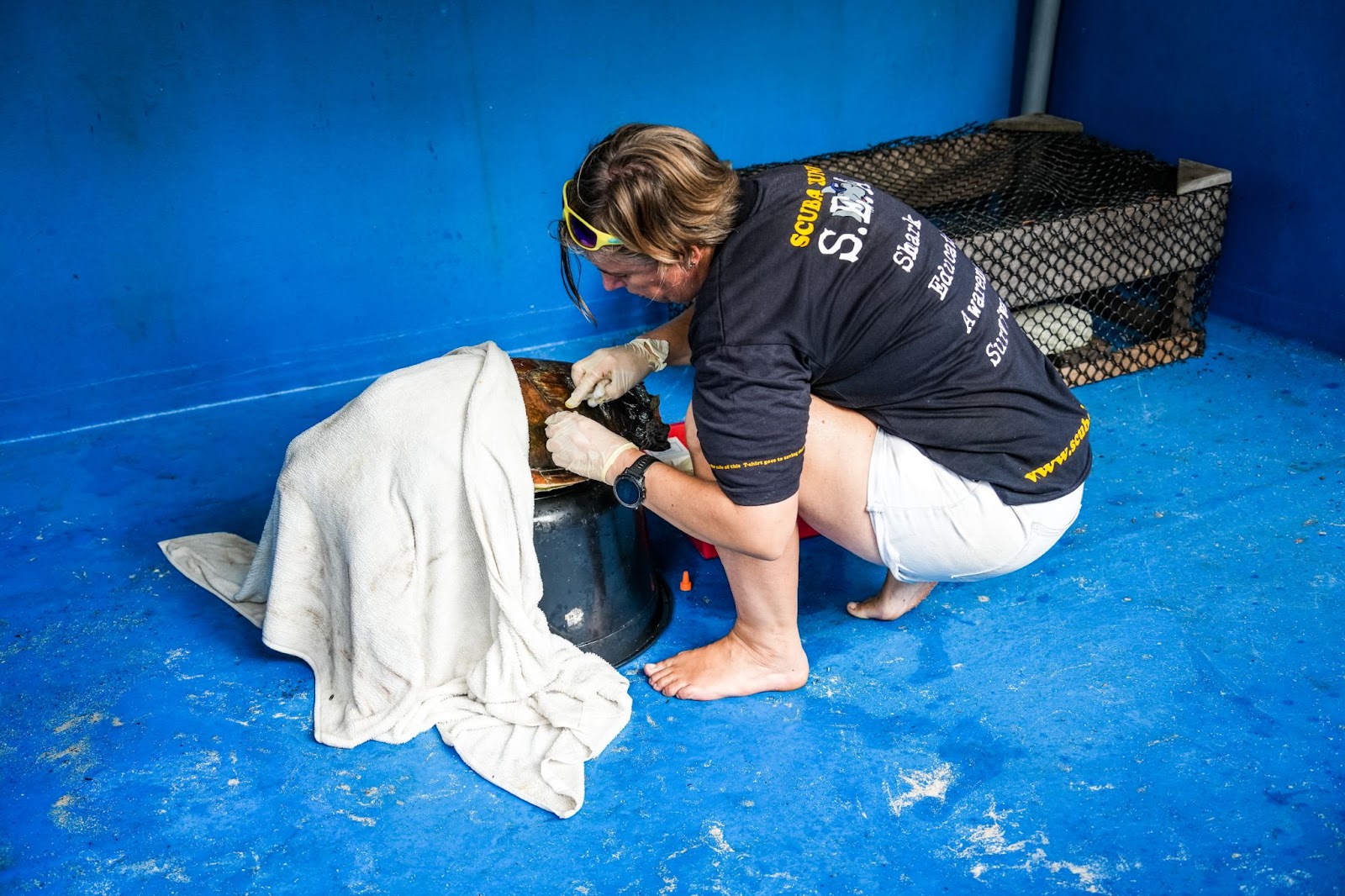 A woman crouches faced away from the camera. She is tending to injuries on a green sea turtle's back. 