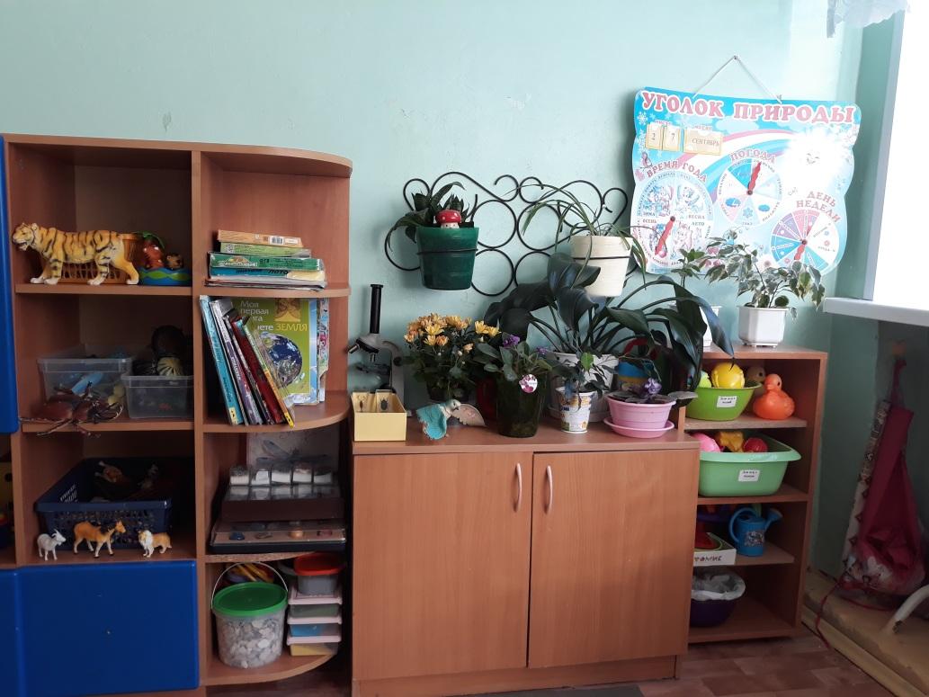 C:\Users\Windows7\Desktop\фото телефон\развивающая среда в группе\20190927_094002.jpg