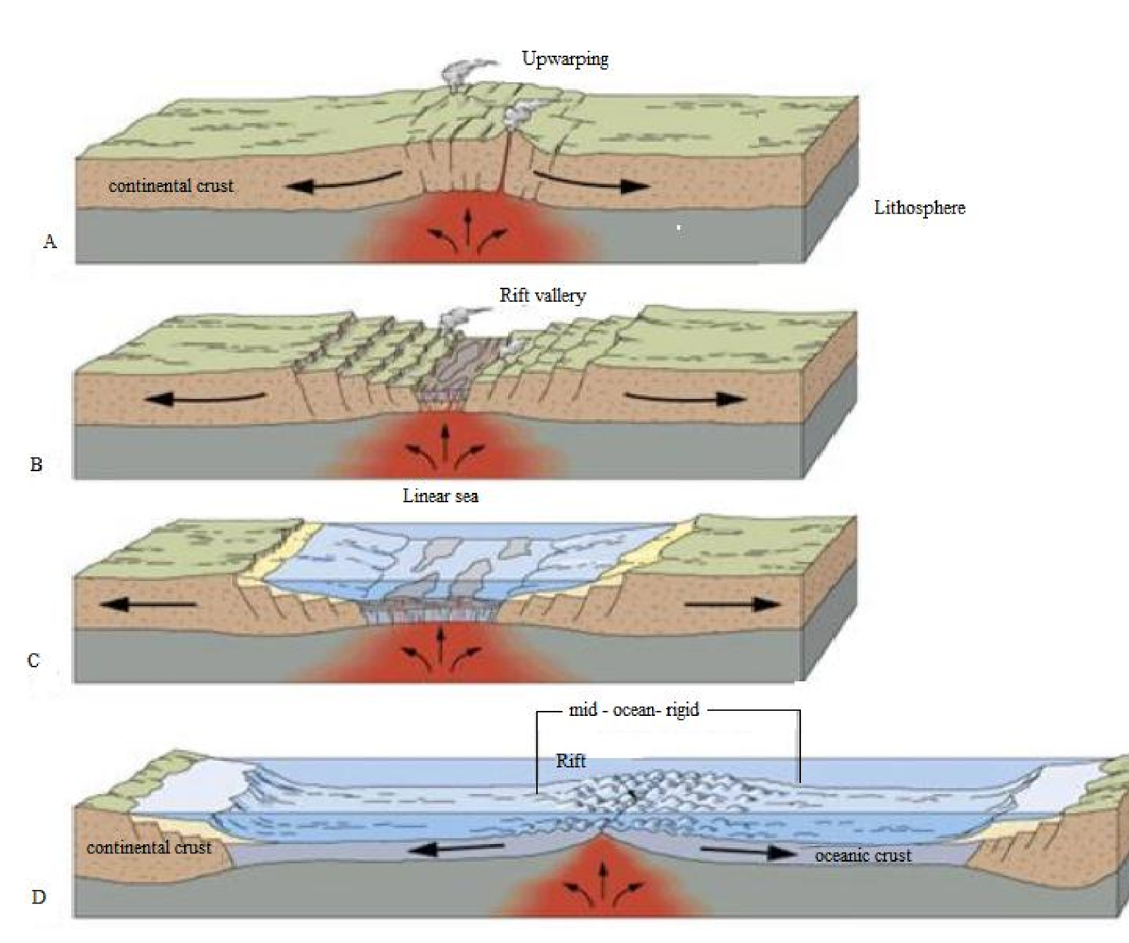 Внутренние процессы земли приводят к 5. Рифт Геология. Рифтовых зонах срединно-океанических хребтов. Континентальный рифт география. Рифт Геология схема.