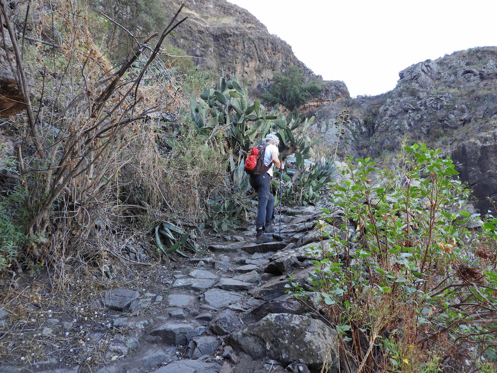 El Sao - El Hornillo, Gran Canaria