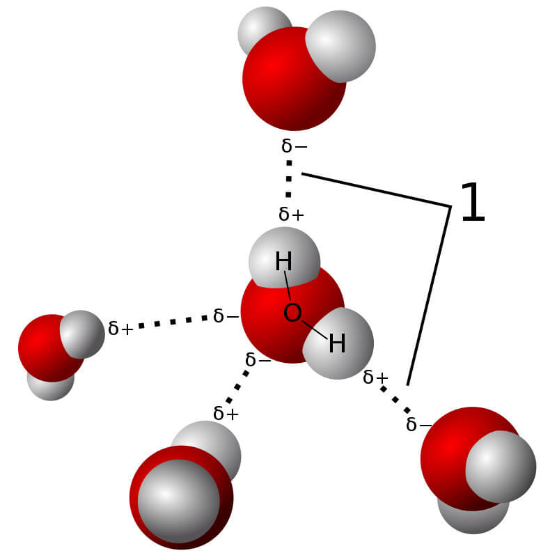 Hình ảnh minh hoạ cho liên kết hydrogen
