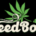 Cannabis Weed Bong