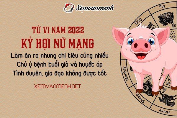 tu-vi-tuoi-ky-hoi-nam-2022-nu-mang-1959