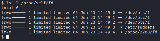 reviewing the /proc/self/ filesystem via the ls -l command