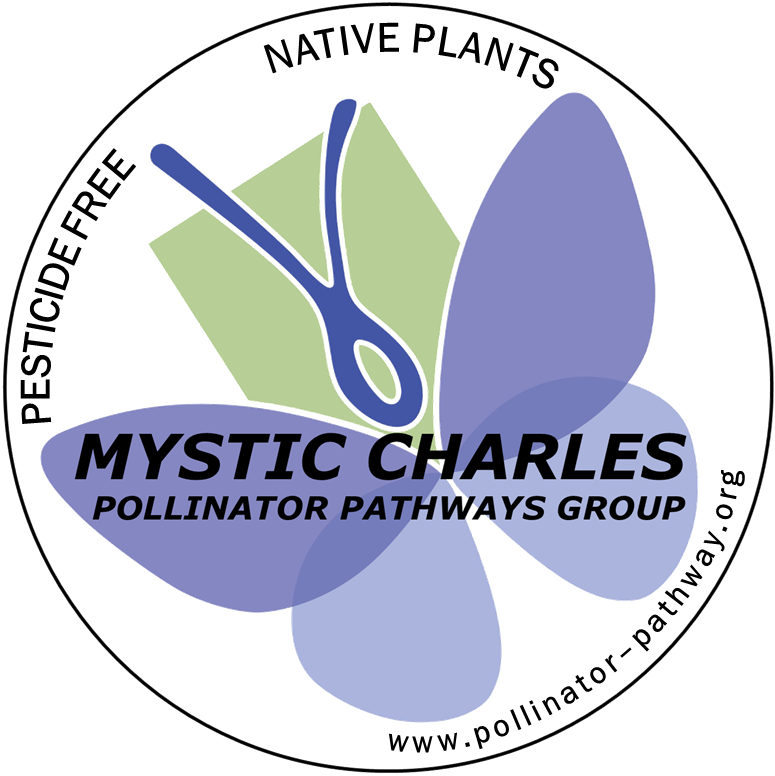 Mystic Charles Pollinator Pathways Group (MCPPG)