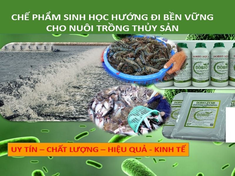 Chế phẩm sinh học của nhà Dobio