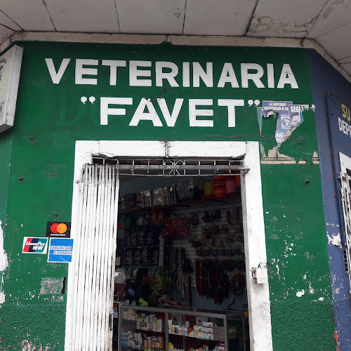 Opiniones de VETERINARIA "FAVET" en Iquitos - Veterinario