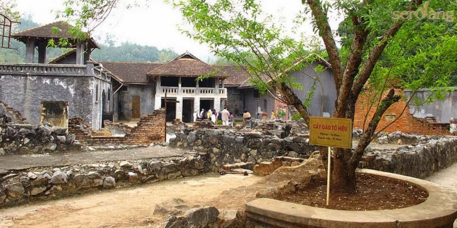 Sơn La