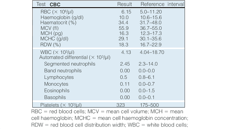 Eosinophils تحليل