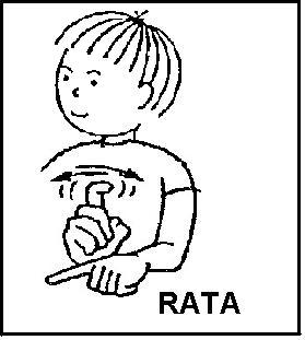 RATA.JPG