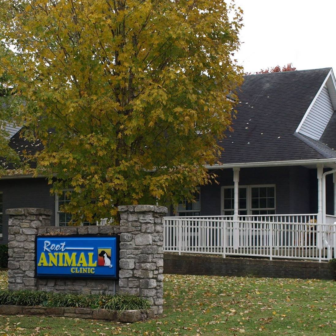 Root Animal Clinic