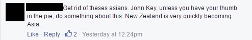 NZ racism2.jpg