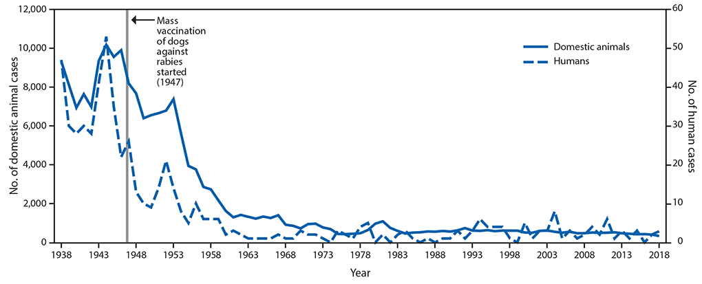 Cases of rabies in domestic animals and humans in United Stats from 1938 to 2019. Rabies prevention for dogs by vaccinating them is your best defense.