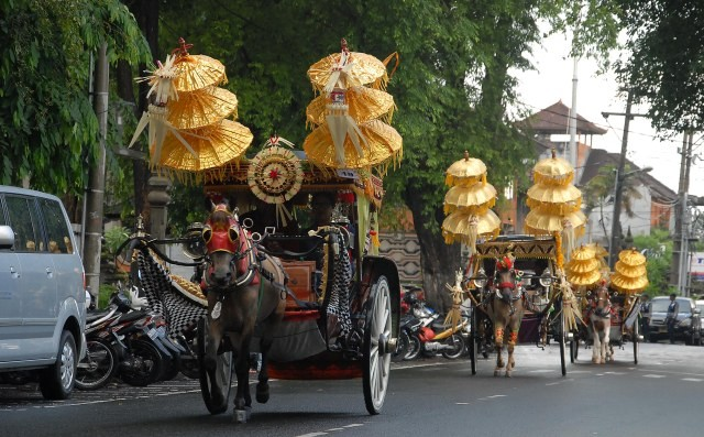 Dokar Bali Transportasi
